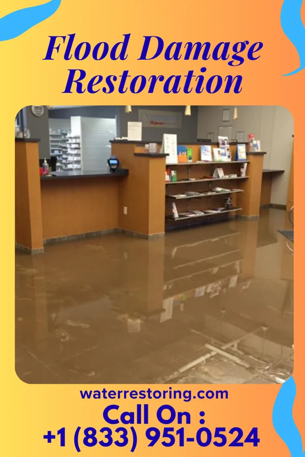 Flood Damage Restoration in Conneaut Lakeshore, PA