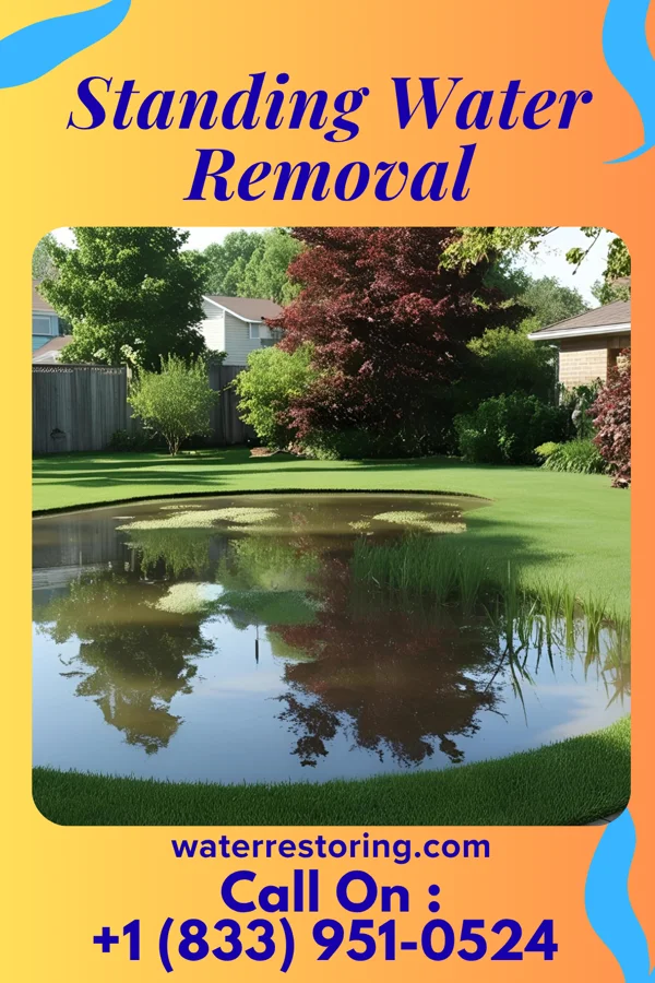 Standing Water Removal in Conneaut Lakeshore, PA